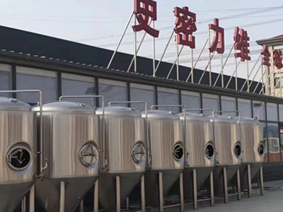 大理精酿啤酒设备厂—市场规模与跨界新需求